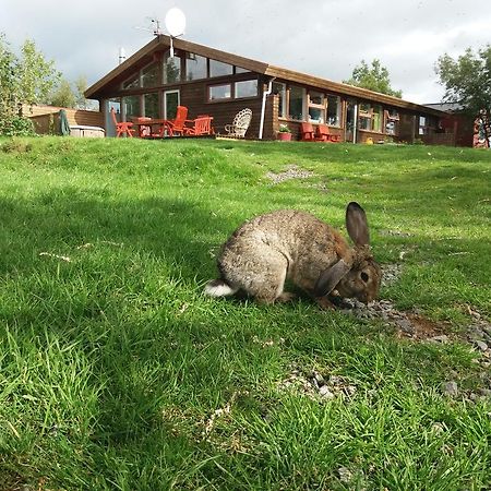 Geysir Hestar Hostel Haukadalur Εξωτερικό φωτογραφία